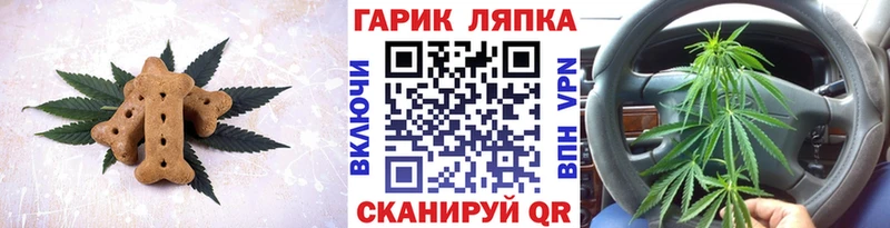 Купить закладки  Гаджиево  Canna-Cookies марихуана 