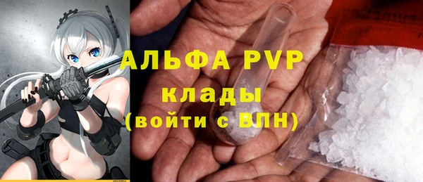 эйфоретик Инта