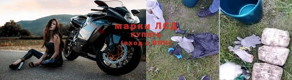 эйфоретик Инта
