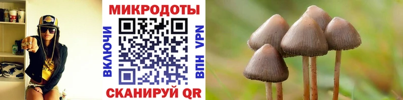 Псилоцибиновые грибы MAGIC MUSHROOMS  Купить где  Гаджиево 